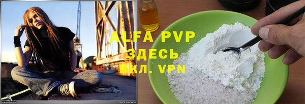 стаф Зерноград