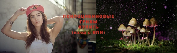 спиды Зеленодольск