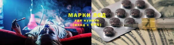 стаф Зерноград