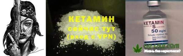 стаф Зерноград
