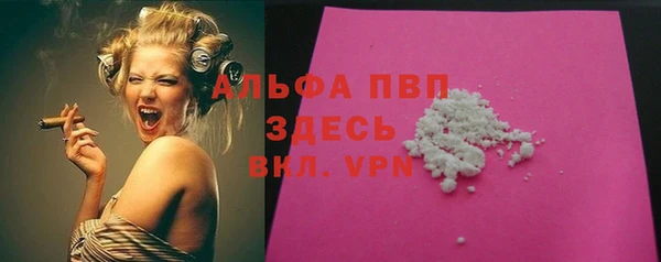 стаф Зерноград